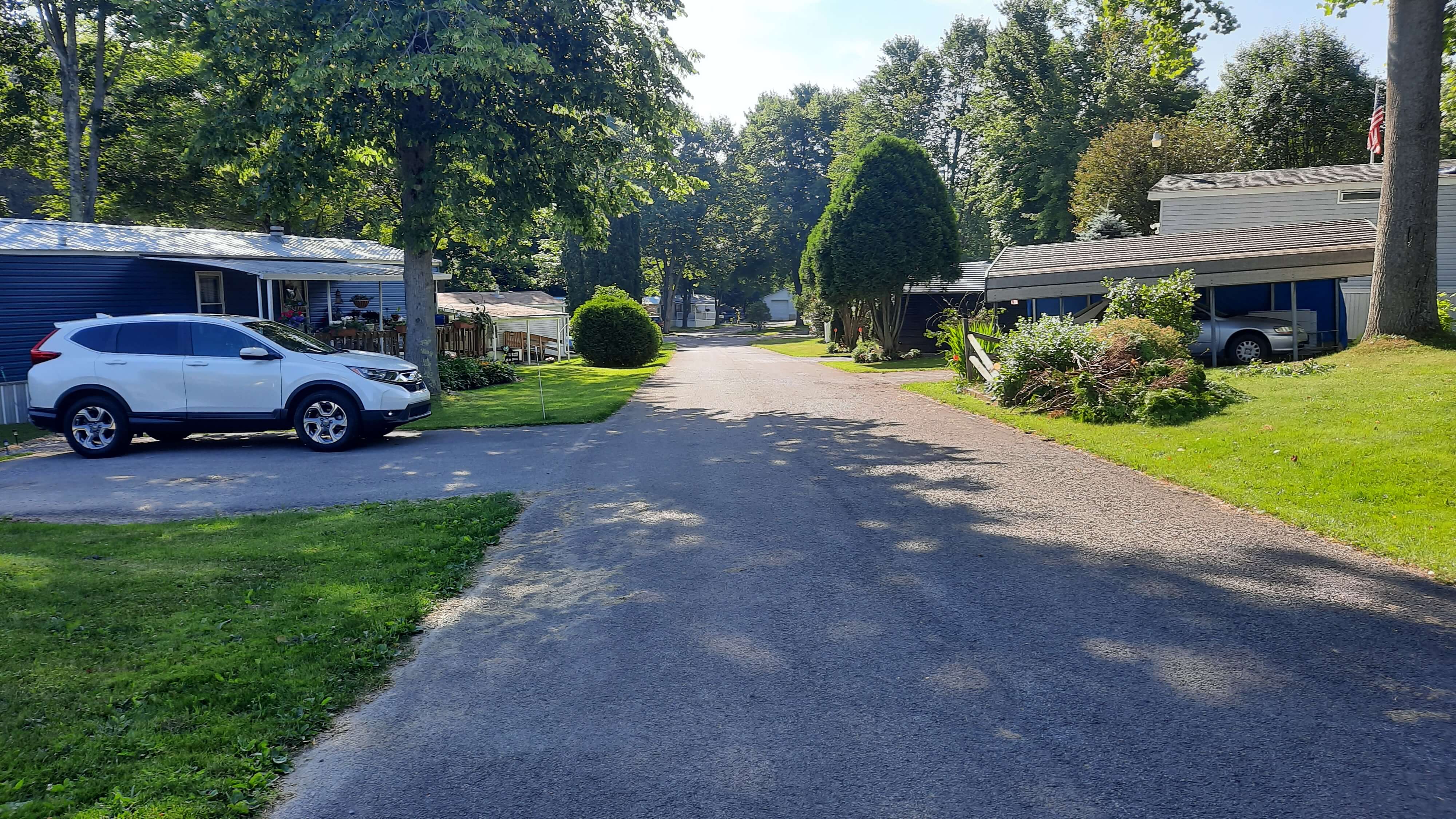 Primary park home with greenery