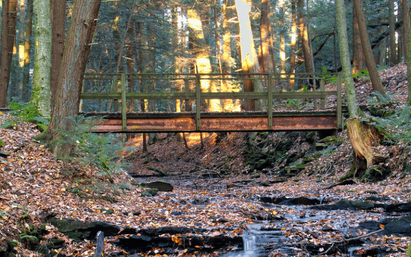 Bridge in Goddard State Park